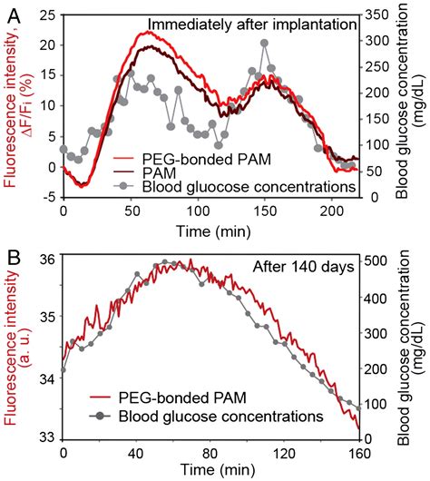 Long Term In Vivo Glucose Monitoring Using Fluorescent Hydrogel Fibers