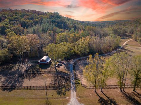 Saddle Creek Farm - Strong Lands