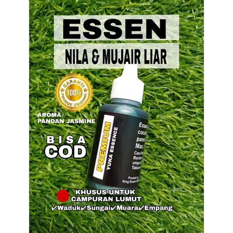 Jual Essen Lumut Ikan Nila Mujair Aroma Pandan Jasmine Segar Shopee