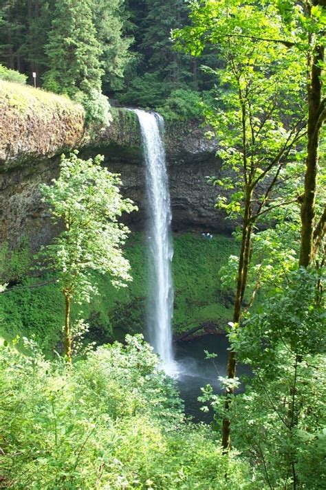 The South Falls Silver Falls State Park East Of Salem Oregon Photo By Kenneth Ray Silver