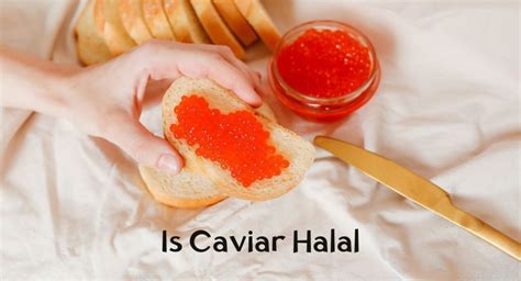 Are Oysters Halal