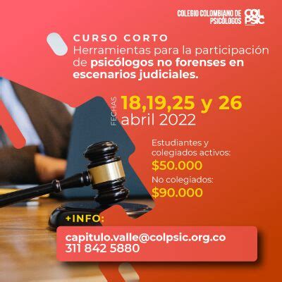 Curso Corto Herramientas Para La Participaci N De Psic Logos No