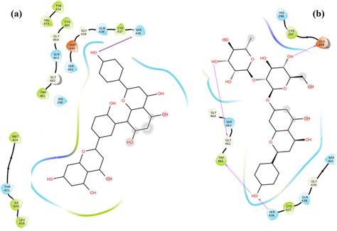 2d Representation Of Best Docking Poses And Proteinligand Interactions