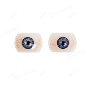 Sex Doll Eyes 100 Replacement Eyes For Sex Dolls Coeros