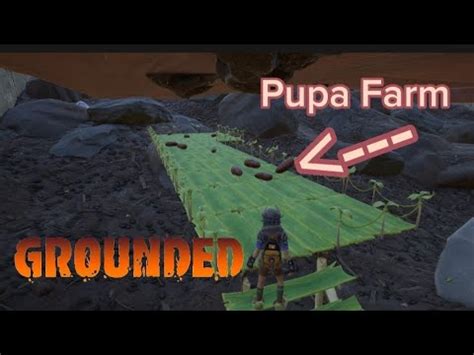 Easy Way To Get Pupa Leather Grounded Youtube