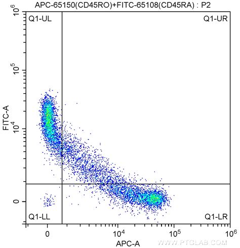 CD45RO antibody (APC-65150) | Proteintech