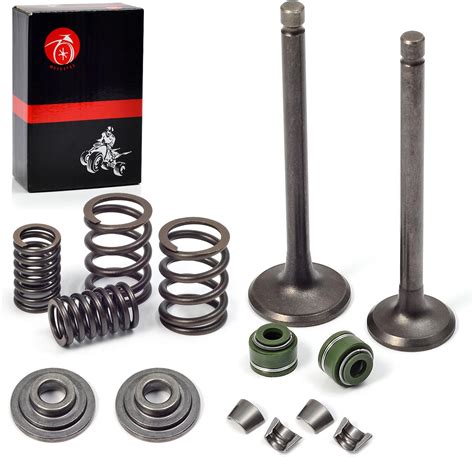 Amazon Angrebuild Cylinder Head Intake Exhaust Valve Kit