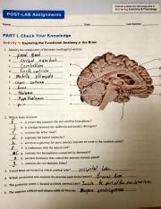 Post Lab Unit Pdf Post Lab Quizzes Are Also Assignable In