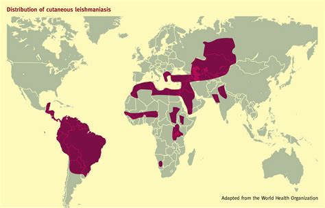 Diagnostic Approach To Tropical Skin Infections Medicine