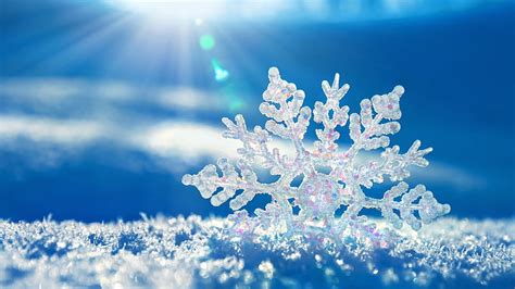 HD wallpaper: snow, snowflake, lens flare, Ice crystals, sun rays ...