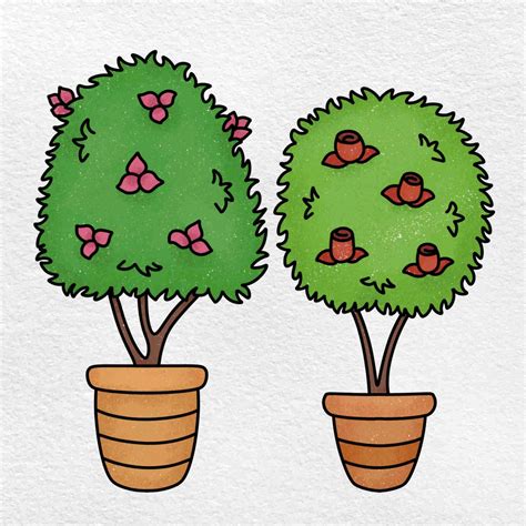 how to draw shrubs