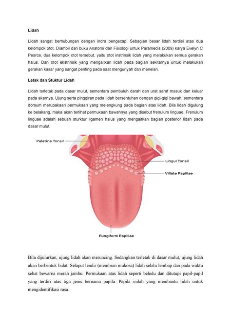 Laporan Praktikum Lidah Lidah Sangat Berhubungan Dengan Indra