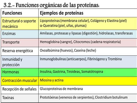 Tipos De Proteinas Clasificacion Definicion Y Ejemplos Tipos De Images