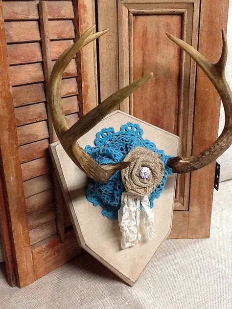 18 Deer Antler Plaques Ideas Deer Antlers Deer Antlers