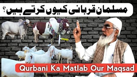 Qurbani Ka Matlab Our Maqsad