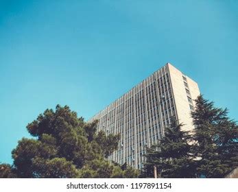 95 Tbilisi state university Images, Stock Photos & Vectors | Shutterstock