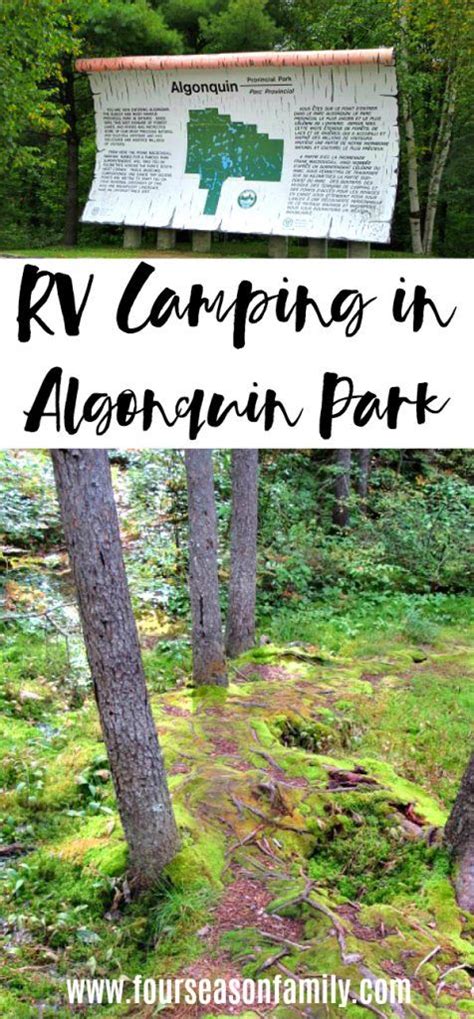 Algonquin Park RV Camping | Algonquin park, Park, Algonquin