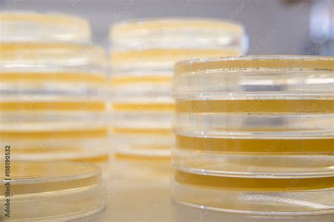 Stacks Of Sterile Agar Plates Also Known As Petri Dishes Ready To Be