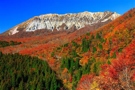 【11月1日更新】伯耆大山の紅葉は見頃を迎えています。秋山紅葉情報2023 山と溪谷オンライン