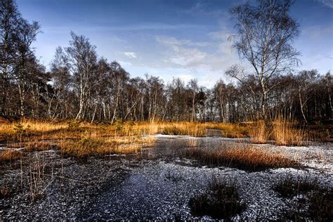 De Mooiste Wandelroute Van Het Jaar Wandelroute Wandelen Groningen