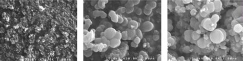 SEM Photographs Of The Photocatalysts A Commercial Degussa P 25 B