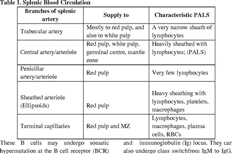 Pdf Functions Of Spleen In Health And Disease Semantic Scholar