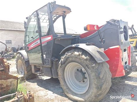 Massey Ferguson Wysi Gnik Wilkowo Sprzedajemy Pl