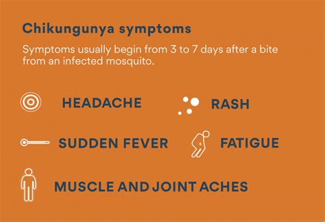 Chikungunya A Crippling Concern World Mosquito Program