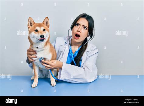 Beautiful Hispanic Veterinarian Woman Checking Dog Health Angry And Mad