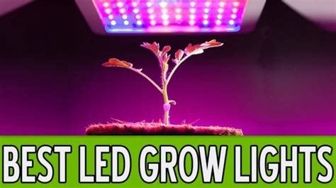 Best Led Grow Lights For Cannabis Of 2025 Reviews By Experts In Growing