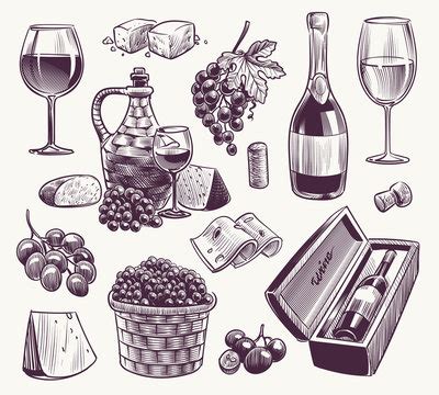 Best Wine And Cheese Sketch Images Stock Photos Vectors