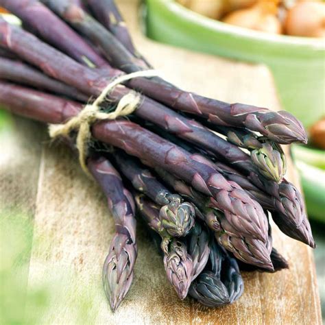 Buy Asparagus Plant Erasmus Online Vegetable Seeds