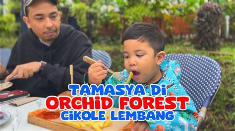 MENGUNJUNGI CAFE AESTHETIC DI BANDUNG ORCHID FOREST CIKOLE LEMBANG