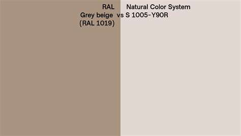 RAL Grey Beige RAL 1019 Vs Natural Color System S 1005 Y90R Side By