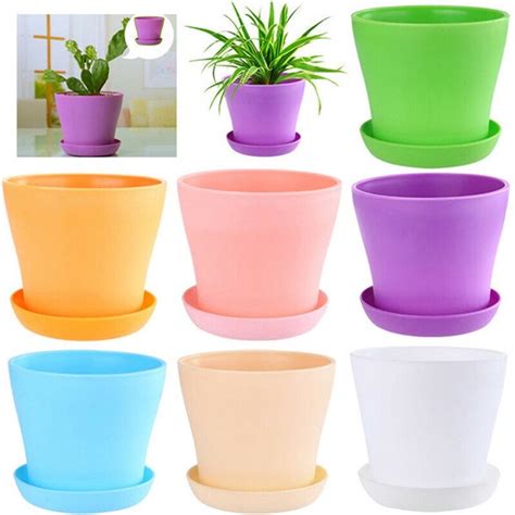 Pcs Plastic Plant Flower Pot Casewin Indoor Flower Seedlings