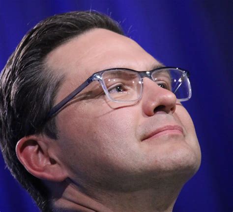 Pierre Poilievre Leader Conservative Party Mosaic Edition