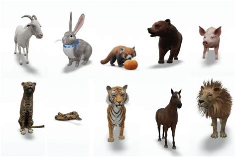 All Google 3d Animals List to View in your Space | WhatDigi.com