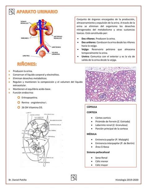 Histología uDocz