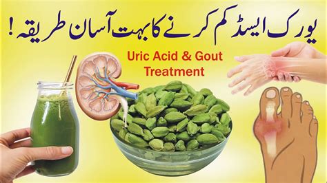 Treatment And Symptoms Of Uric Acid In Urdu Hindi By Khalid 57 Off