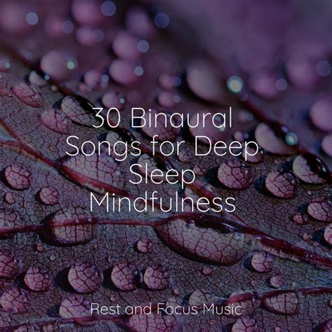 Binaural Songs For Deep Sleep Mindfulness Album By Echoes Of