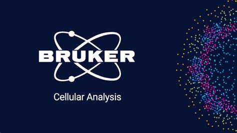 Antibody Discovery Kit Bruker Cellular Analysis