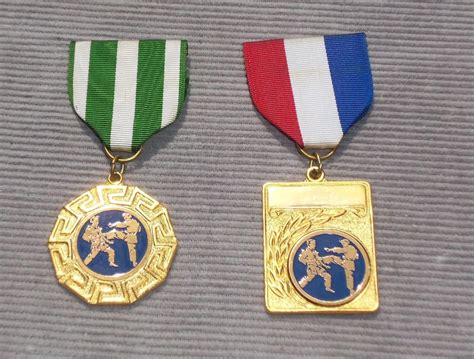 2 Vintage Karate Martial Arts Medals Ribbons Awards Pins Medallions