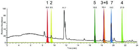 Total Ion Chromatogram For Culture Broth Of P Chrysogenum Total Ion