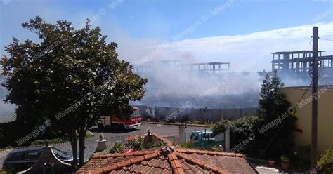 Ardea Nuovo Incendio In Fiamme Le Sterpaglie In Un Area Di Cantiere