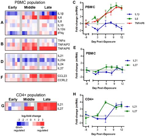 Cytokine MRNA Expression Following LASV Challenge Heatmaps Show The