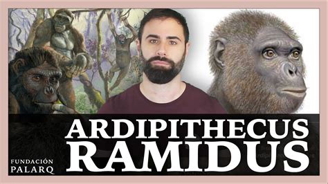 Ardipithecus Ramidus Las Principales Especies De Homininos Y Etapas