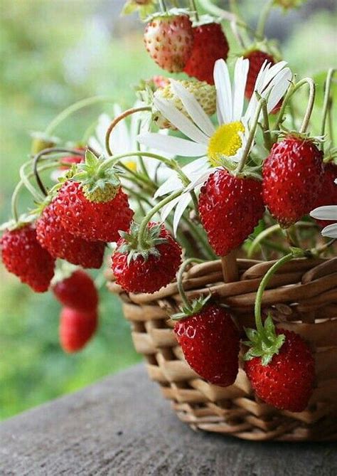 Pin Su Vegetables Fruits Still Life Fotografia Di Frutta Fragole