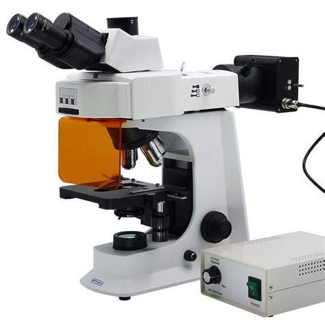 40x 1000x Led Trinocular Fluorescence Microscope For Research Learning