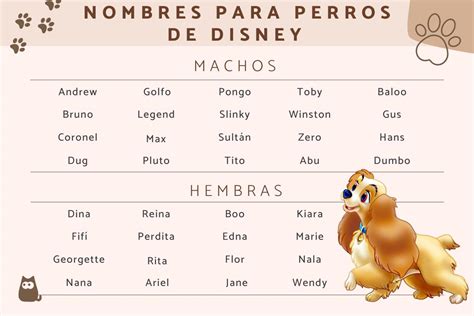 Ideas De Nombres Para Perros Inspirados En Personajes De Disney