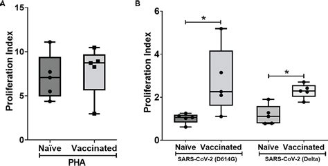 Frontiers Host Immune Responses In Aged Rhesus Macaques Against